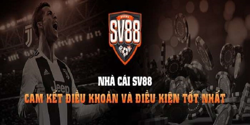 Tổng quan về nhà cái Sv88